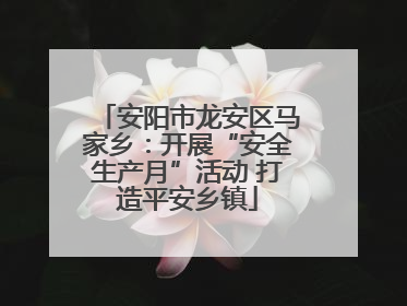 安阳市龙安区马家乡：开展“安全生产月”活动 打造平安乡镇