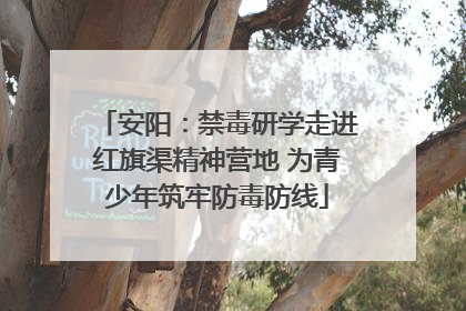 安阳：禁毒研学走进红旗渠精神营地 为青少年筑牢防毒防线