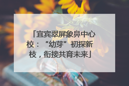 宜宾翠屏象鼻中心校：“幼芽”初探新枝，衔接共育未来