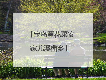宝岛黄花菜安家尤溪畲乡
