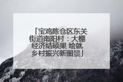 宝鸡陈仓区东关街道南阳村：大棚经济结硕果 绘就乡村振兴新图景