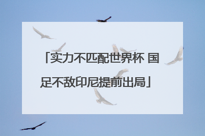 实力不匹配世界杯 国足不敌印尼提前出局