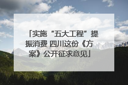 实施“五大工程”提振消费 四川这份《方案》公开征求意见
