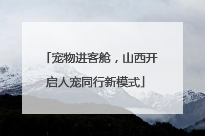 宠物进客舱，山西开启人宠同行新模式