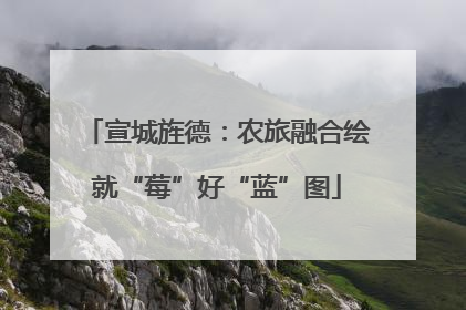 宣城旌德：农旅融合绘就“莓”好“蓝”图