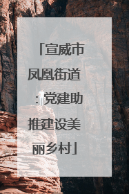 宣威市凤凰街道：党建助推建设美丽乡村