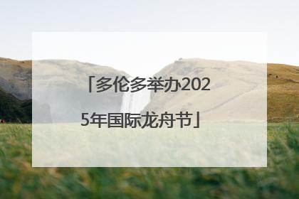 多伦多举办2025年国际龙舟节