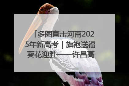 多图直击河南2025年新高考｜旗袍送福 葵花迎胜——许昌高考首日拉开帷幕