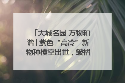 大城名园 万物和谐│紫色“高冷”新物种横空出世，皱褶叶片暗藏进化密码