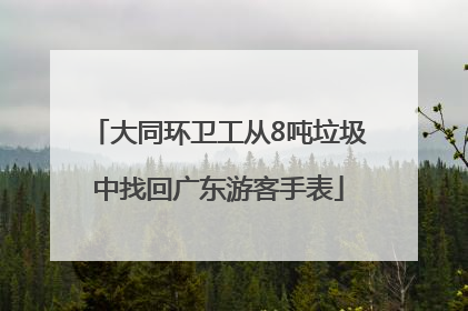 大同环卫工从8吨垃圾中找回广东游客手表