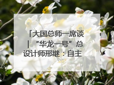 大国总师一席谈｜“华龙一号”总设计师邢继：自主创新铸就核电“国家名片”