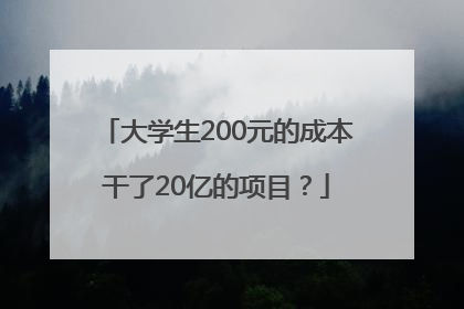 大学生200元的成本干了20亿的项目？