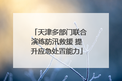 天津多部门联合演练防汛救援 提升应急处置能力