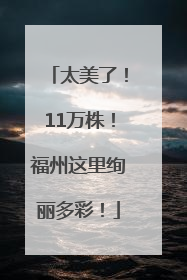 太美了！11万株！福州这里绚丽多彩！