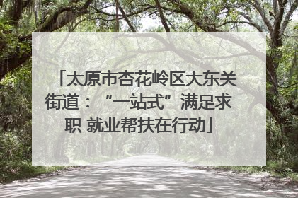 太原市杏花岭区大东关街道：“一站式”满足求职 就业帮扶在行动