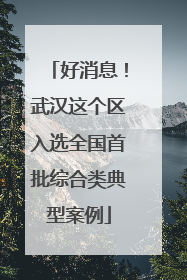 好消息！武汉这个区入选全国首批综合类典型案例