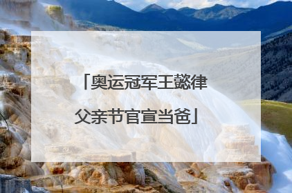 奥运冠军王懿律父亲节官宣当爸