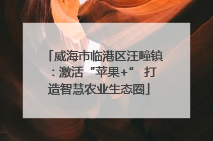 威海市临港区汪疃镇：激活“苹果+” 打造智慧农业生态圈