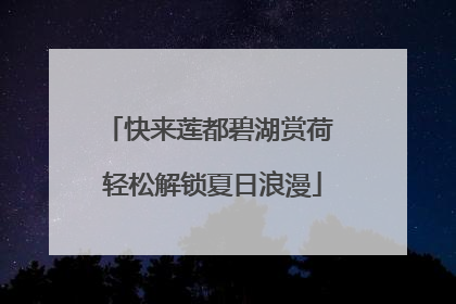 快来莲都碧湖赏荷 轻松解锁夏日浪漫