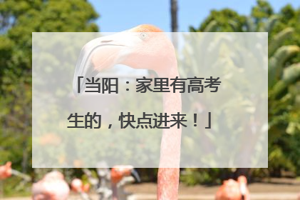 当阳：家里有高考生的，快点进来！