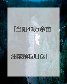 当阳43万余亩油菜颗粒归仓
