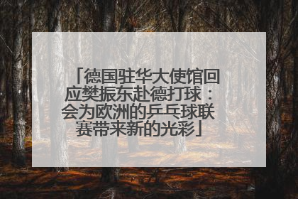 德国驻华大使馆回应樊振东赴德打球：会为欧洲的乒乓球联赛带来新的光彩