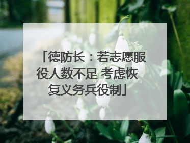 德防长：若志愿服役人数不足 考虑恢复义务兵役制