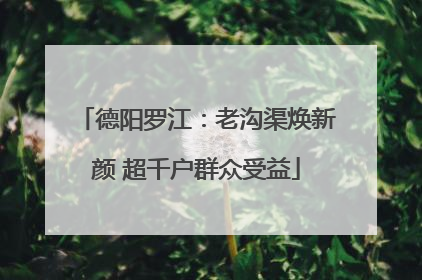 德阳罗江：老沟渠焕新颜 超千户群众受益