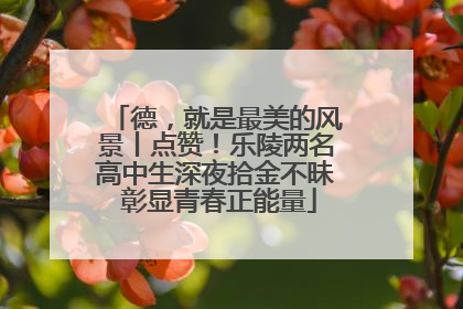 德，就是最美的风景丨点赞！乐陵两名高中生深夜拾金不昧 彰显青春正能量