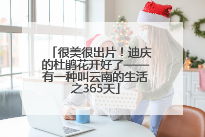 很美很出片！迪庆的杜鹃花开好了——有一种叫云南的生活之365天