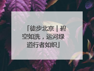 徒步北京｜碧空如洗，运河绿道行者如织