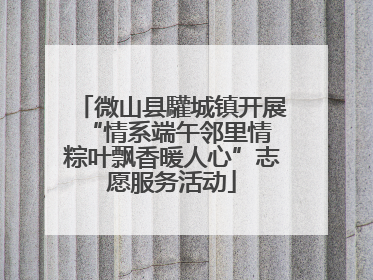 微山县驩城镇开展“情系端午邻里情 粽叶飘香暖人心”志愿服务活动