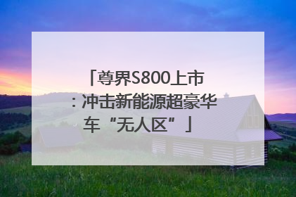 尊界S800上市：冲击新能源超豪华车“无人区”