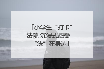 小学生“打卡”法院 沉浸式感受“法”在身边