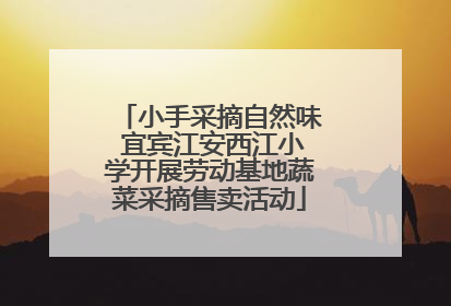 小手采摘自然味 宜宾江安西江小学开展劳动基地蔬菜采摘售卖活动