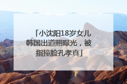 小沈阳18岁女儿韩国出道照曝光，被指撞脸孔孝真