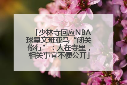 少林寺回应NBA球星文班亚马“闭关修行”：人在寺里，相关事宜不便公开
