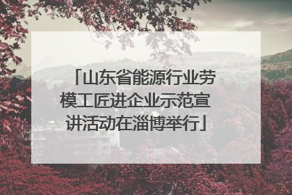 山东省能源行业劳模工匠进企业示范宣讲活动在淄博举行