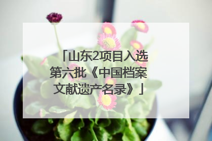 山东2项目入选第六批《中国档案文献遗产名录》