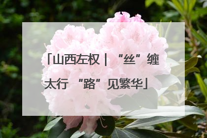 山西左权｜“丝”缠太行 “路”见繁华