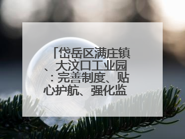 岱岳区满庄镇、大汶口工业园：完善制度、贴心护航、强化监管，打造优质营商“强磁场”