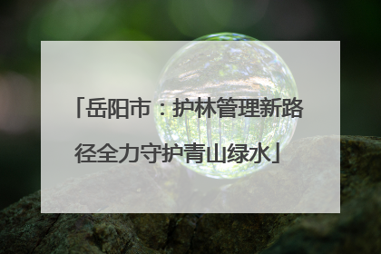 岳阳市：护林管理新路径全力守护青山绿水