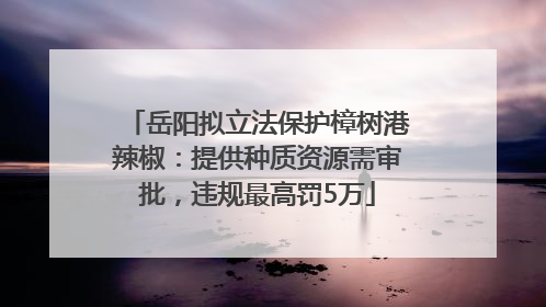 岳阳拟立法保护樟树港辣椒：提供种质资源需审批，违规最高罚5万