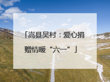 嵩县吴村：爱心捐赠情暖“六一”