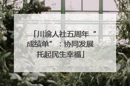 川渝人社五周年“成绩单”：协同发展托起民生幸福