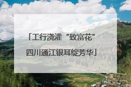 工行浇灌“致富花” 四川通江银耳绽芳华