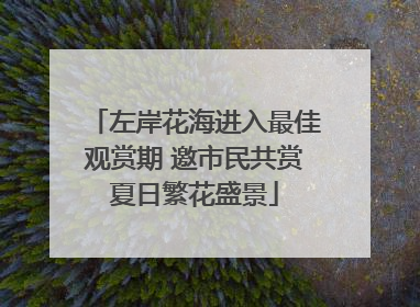 左岸花海进入最佳观赏期 邀市民共赏夏日繁花盛景