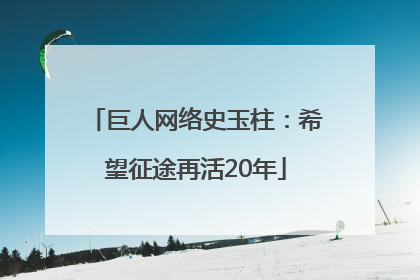 巨人网络史玉柱：希望征途再活20年