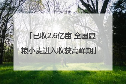已收2.6亿亩 全国夏粮小麦进入收获高峰期