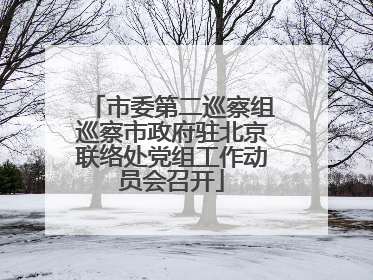 市委第二巡察组巡察市政府驻北京联络处党组工作动员会召开